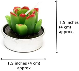 Cactus Tealight Candles 12 Piece Set