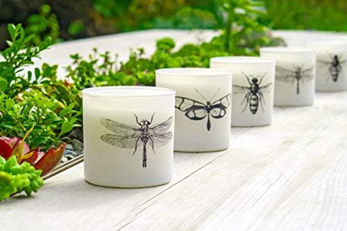 Skeem Design Citronella Sea Salt Votive Scented Candles - Set of 3