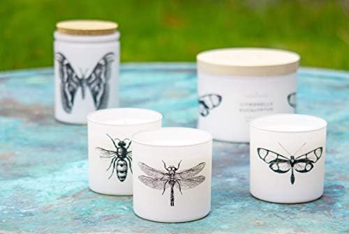 Skeem Design Citronella Sea Salt Votive Scented Candles - Set of 3