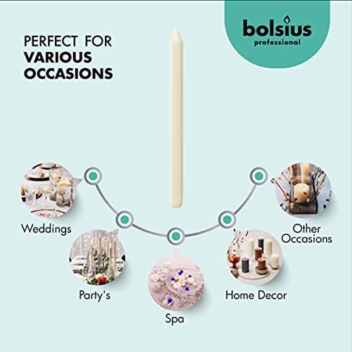 BOLSIUS Ivory Candlesticks Bulk Pack