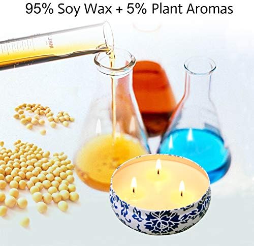 Citronella Candle Set Cancel the Heat