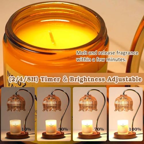 Funistree Dimmable Candle Warmer Lamp Timer