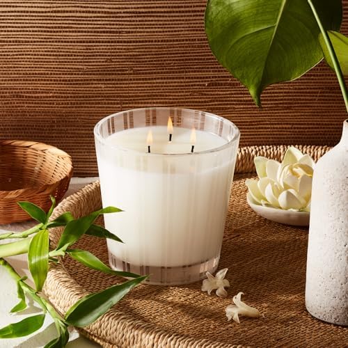 NEST New York Scented Candle Set