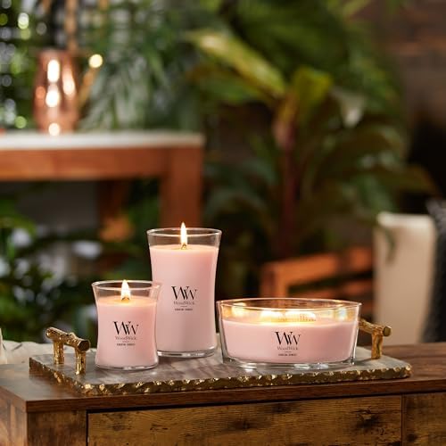 Vanilla Sea Salt Scented Medium Candle 97oz