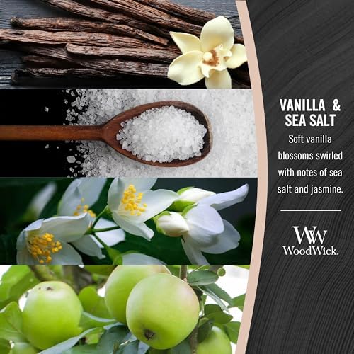 Vanilla Sea Salt Scented Medium Candle 97oz