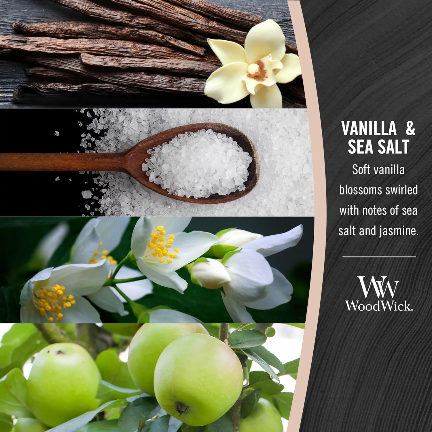 Vanilla Sea Salt Scented Medium Candle 97oz