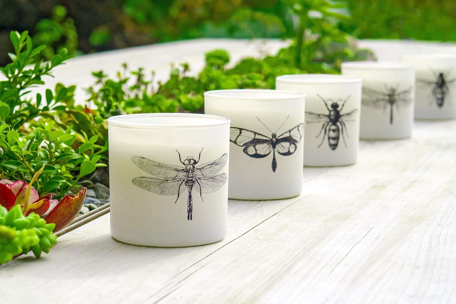 Skeem Design Citronella Sea Salt Votive Scented Candles - Set of 3